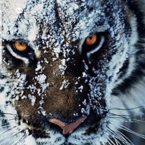 Meet your Posher, Andy